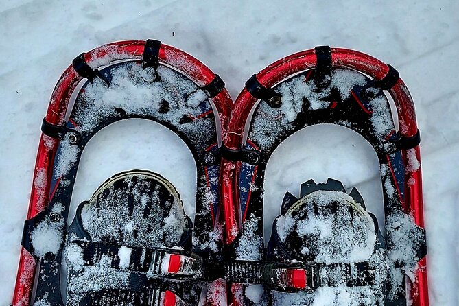 Private Snowshoeing on the Ile Dorléans - Inclusions