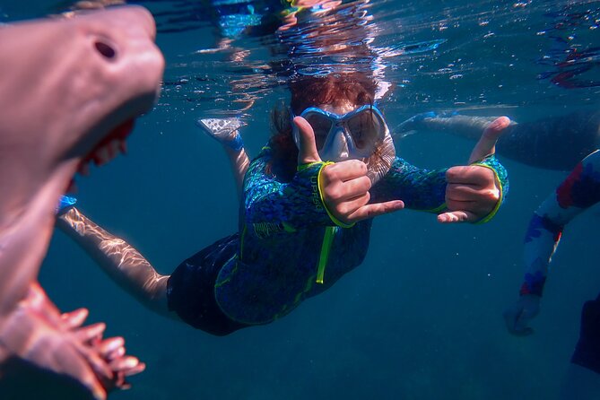 Private South Maui Turtle Town Snorkeling and Kayaking Tour - Tour Details and Inclusions