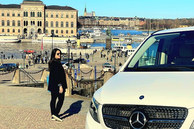 Private Stockholm City Tour by VIP Car Vasa and Skansen Museum - Tour Guides
