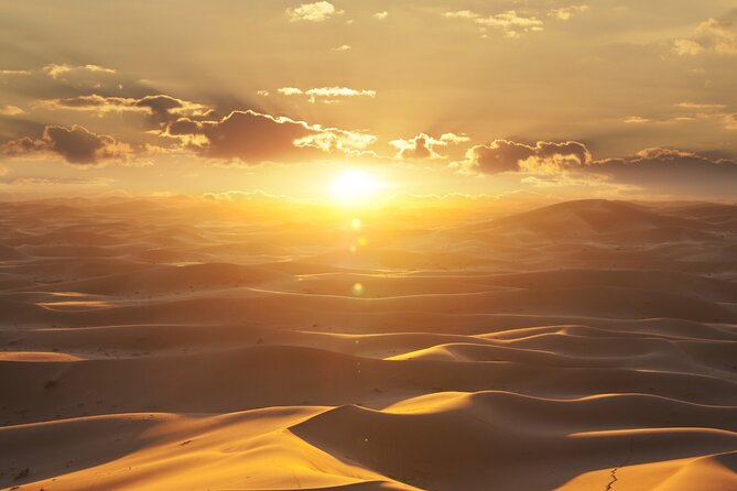 Private Sunrise Safari Tour in Abu Dhabi With Camel Ride - Itinerary
