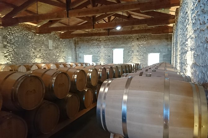 Private Tour and Visits on the Medoc Castle Route (Luxury Minivan) - Inclusions and Exclusions