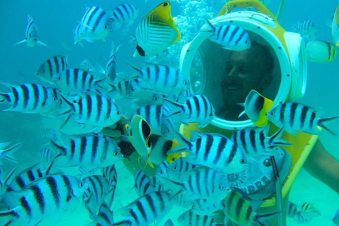 Private Tour: Aqua Safari Scuba Diving - Accessibility Information