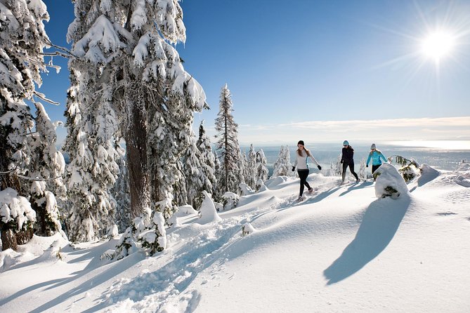 Private Tour: Capilano Suspension Bridge and Grouse Mountain - Cancellation Policy