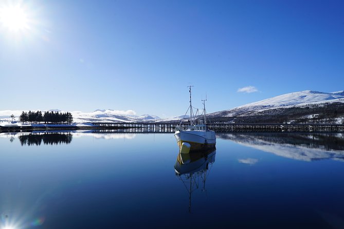 Private Tour: Customizable Cruise on Luxury Yacht From Tromso - Cancellation Policy