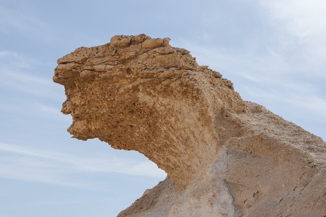 Private Tour Dhukhan West Coast Full Day - Tour Details