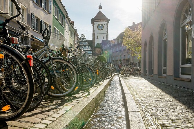 Private Tour Discover Freiburg Black Forest From Colmar - Transportation and Pick-up
