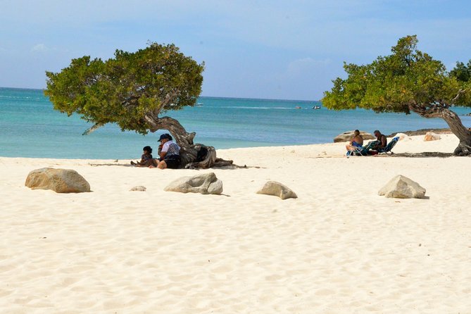 Private Tour: Essential Tour of Aruba - Meeting and Pickup
