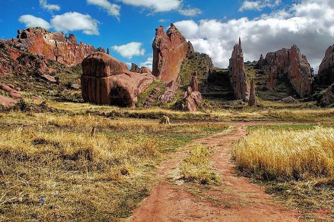 Private Tour From Puno to Tiwanaku - Cancellation Policy