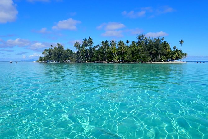 Private Tour From Raiatea - 1/2 Day Excursion to Tahaa or Other - Pickup and Drop-off Details