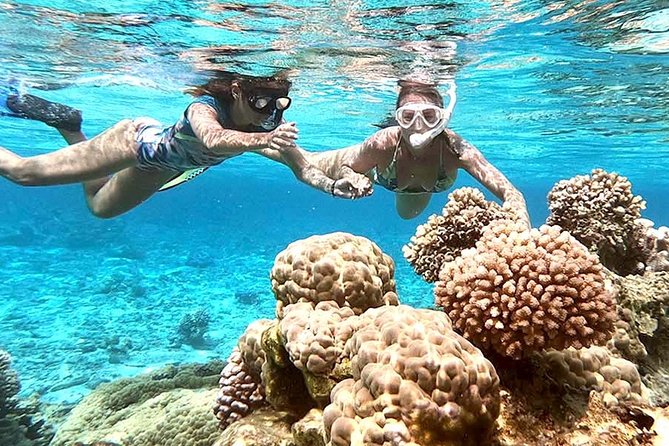 Private Tour: Full-Day Bora Bora Catamaran Sailing and Polynesian Motu Lunch - Customizable Itinerary