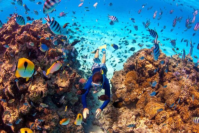 Private Tour: Half-Day Catamaran Sailing Snorkeling and Floating Bar - Traveler Photos