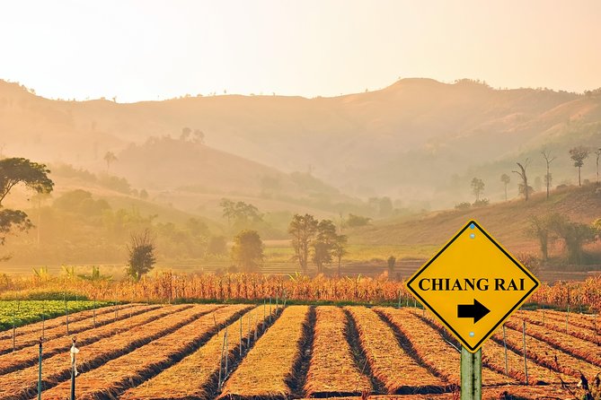Private Tour: Hill Tribes and the Golden Triangle Tour From Chiang Rai - Tour Details