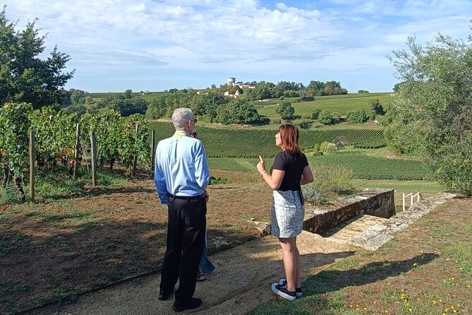 Private Tour in Saint-Emilion, Médiéval Village and Wine Tasting - Visiting a Château
