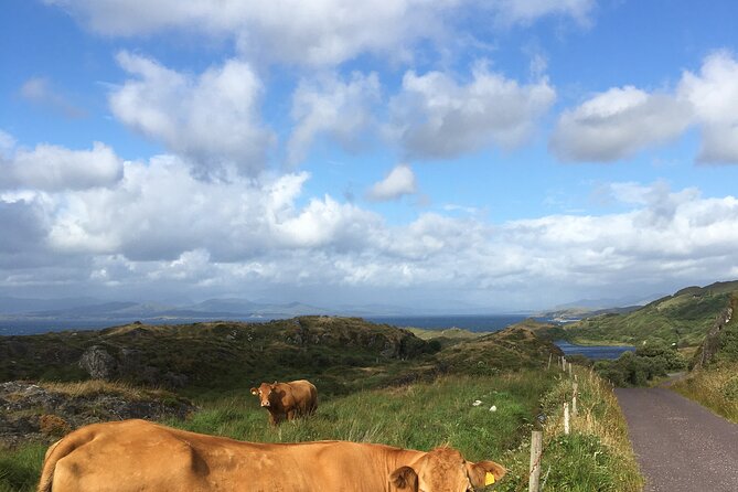 Private Tour of Beara Peninsula - Itinerary Details