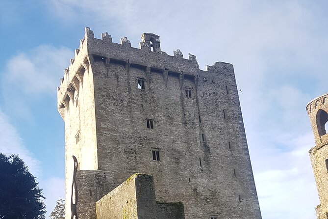 Private Tour of Blarney Castle, Cork City and Kinsale - Inclusions