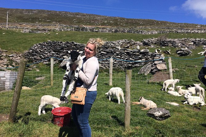 Private Tour of Dingle and Slea Head With Accredited Guide - Additional Resources