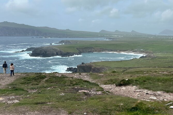 Private Tour of Dingle Peninsula From Killarney - Reviews