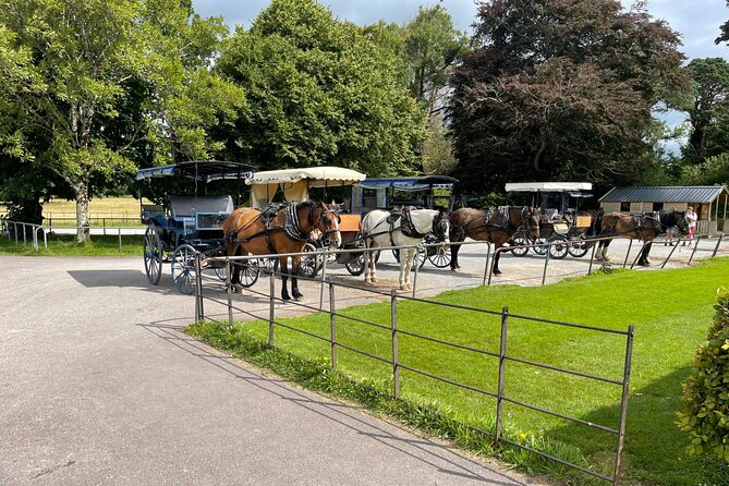 Private Tour of Kerry and Killarney From Cork and Cobh - Cancellation Policy and Reviews