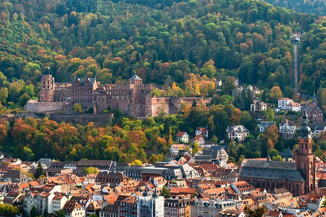 Private Tour of the Best of Heidelberg- Sightseeing, Food & Culture With a Local - Immerse Yourself in Heidelbergs Rich Culture