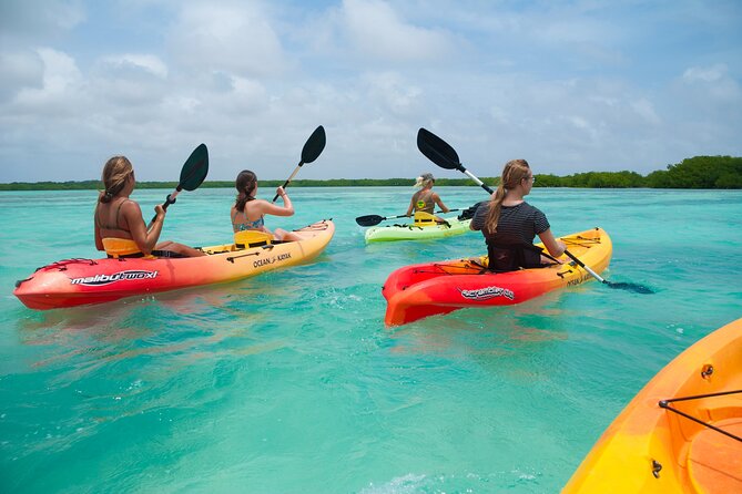 Private Tour Purple Island Mangroves Kayaking Adventure in Qatar - Tour Details