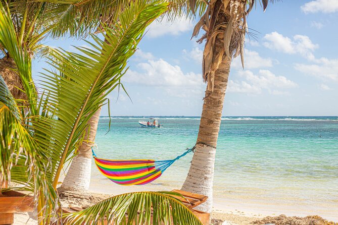 Private Tour Pyramids of Chacchoben and Mahahual With Transportation - Pricing and Value