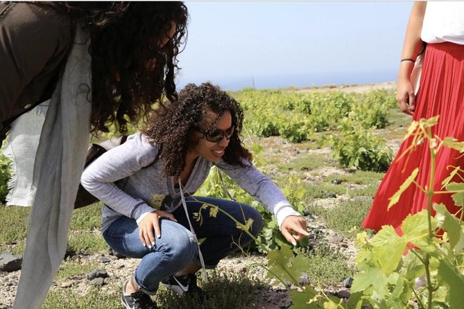 Private Tour: Santorini Cooking Class and Wine-Tasting Tour - Traveler Photos