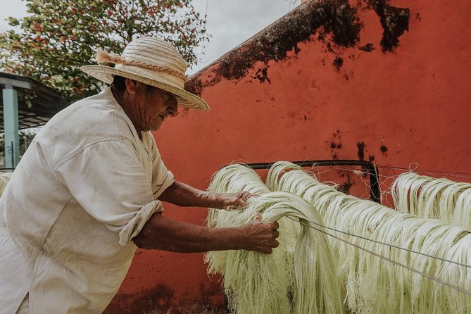 Private Tour: Sotuta De Peon Hacieda Day Trip - Tour Overview