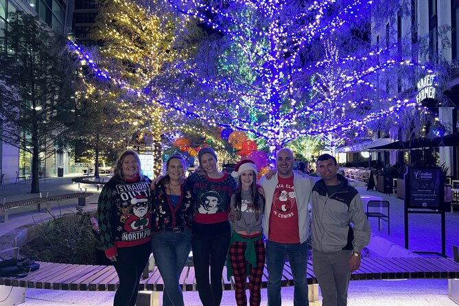 Private Tour to Christmas Winter Village, Bayshore and Hyde Park - Tour Highlights