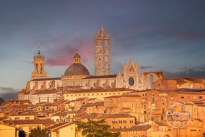 Private Tour to the Gothic Siena - Meeting and Pickup