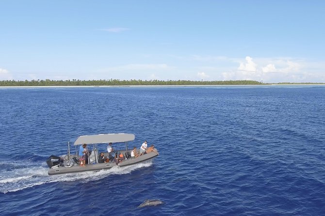 Private Tour Whale Watching BORA-BORA - Tips for a Successful Whale Watching Experience