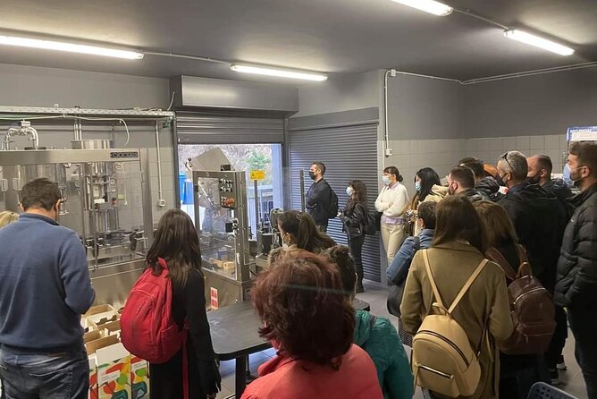 Private Tour - Wine Olive Oil Tasting and Pottery - Olive Oil Tasting Session