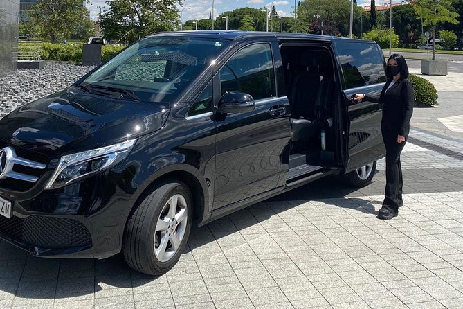 Private Transfer From Airport to Malaga - Price Variation Based on Group Size