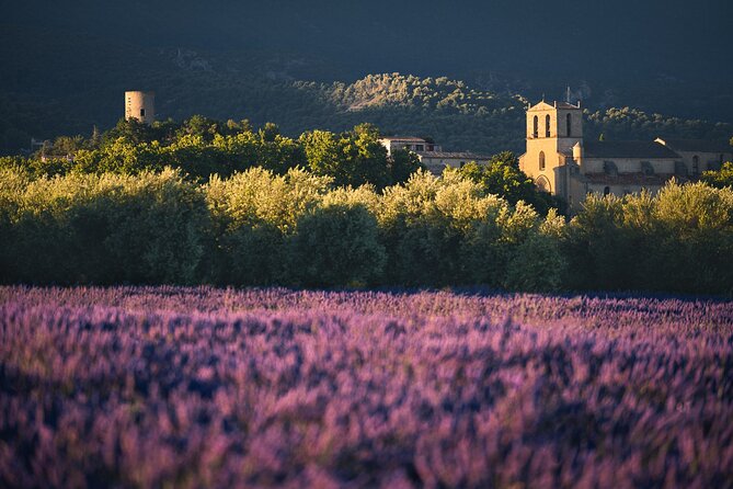 Private Transfer From and To Marseille Port and Airport - Top Destinations and Attractions in Marseille