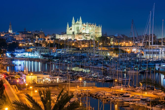 Private Transfer From Mallorca Airport (Pmi) to Palma De Mallorca City - Inclusions and Services Provided