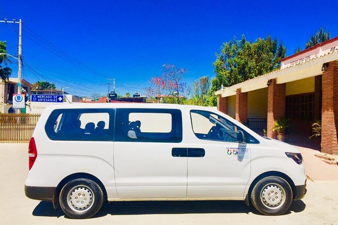 Private Transfer From the Airport to Your Hotel/House . - Accessibility Information
