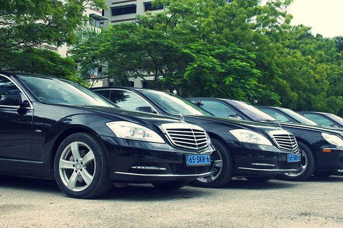 Private Transfer From the Hague City to Schiphol Airport - Convenient Public Transportation Access
