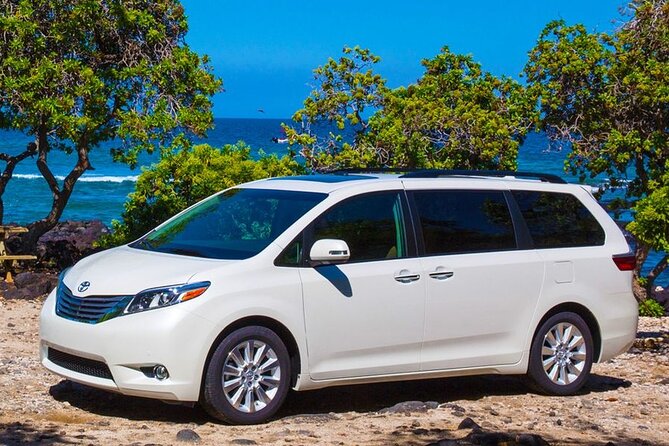 Private Transfer Punta Cana Airport To/From Hilton La Romana - Meeting and Pickup
