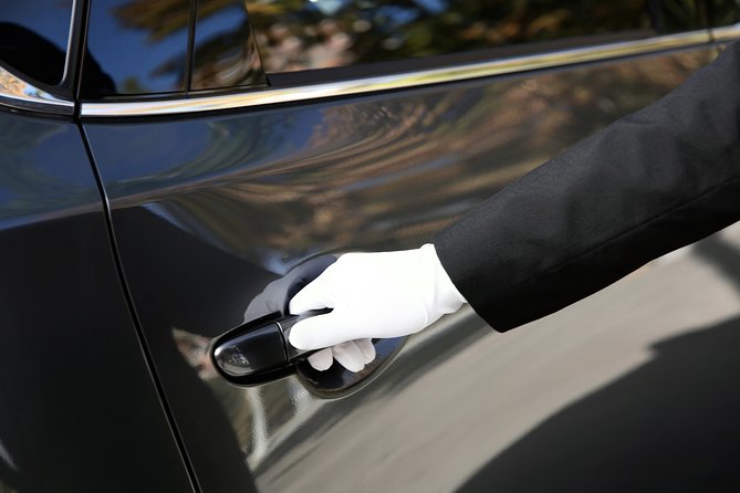 Private Transfer Zurich Airport to Lucerne (1-6 Persons) - Cancellation Policy