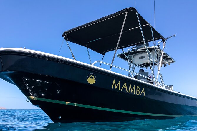Private Trip Espiritu Santo Island - Additional Information and Group Size