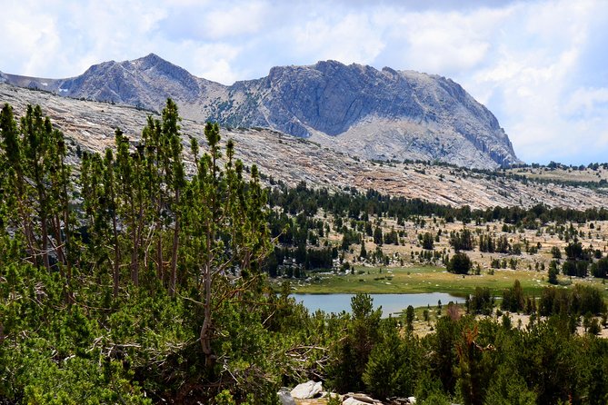Private Tuolumne Meadows Hiking Tour - Inclusions and Services
