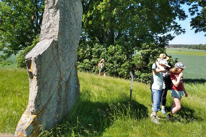 Private Viking Tour in Stockholm Sweden 3h - Tour Inclusions