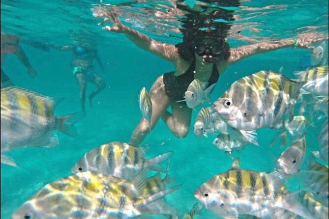 Private VIP Catamaran Party Boat Punta Cana Bavaro - What to Expect