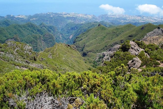 Private Walk Achadas Teixeira - Pico Ruivo Half-day - What To Expect on the Private Walk