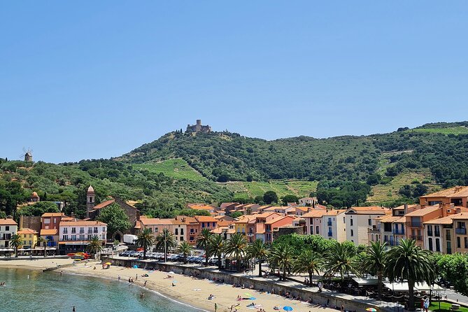 Private Walk In The Vineyards Of Collioure With Wine Tasting - Vineyard Exploration