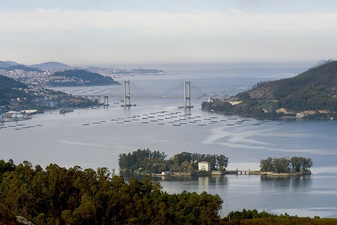 Private Walking Tour in Vigo - Meeting Point and Guide