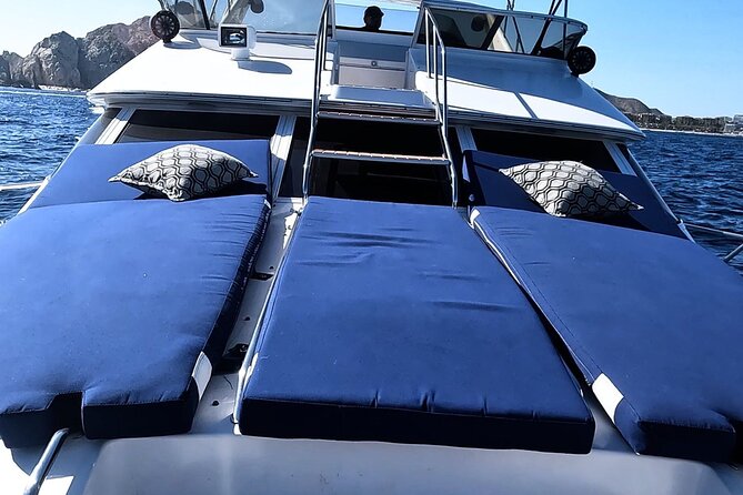 PRIVATE Whale Watching Tour and Snorkeling Tour Cabo San Lucas - Passionate and Educated Crew