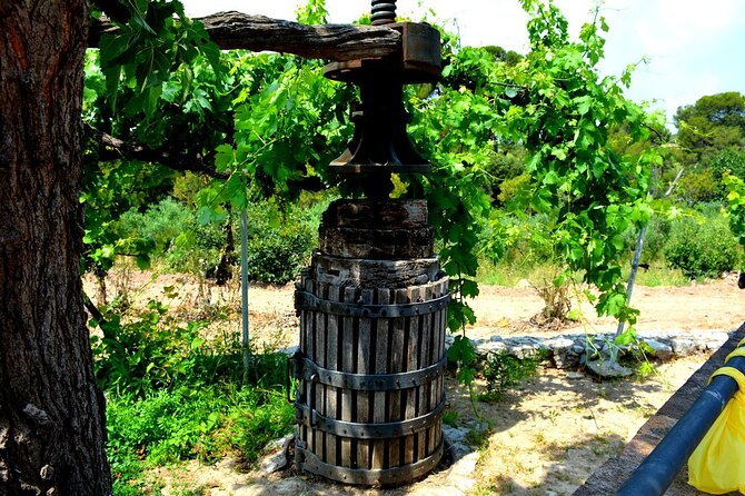 Private Wine Cellars Tour Lunch - Exclusive Access to Top Wine Cellars