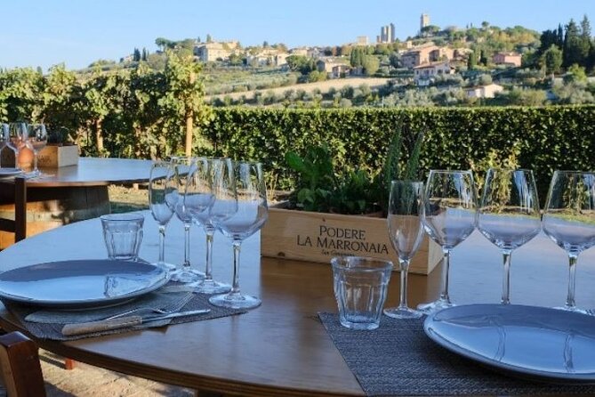Private Wine & EVO Oil Tasting With Tuscan Meal - Immerse Yourself in Tuscan Gastronomy