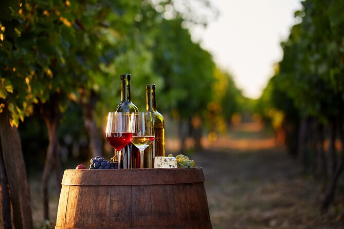 Private Wine Tasting Tour in Munich With a Wine Expert - Additional Information