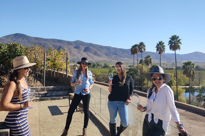 Private Wine Tasting Tour in Valle De Guadalupe - Pricing and Packages